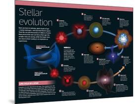 Infographic of Stars: from Birth, Up to the Largest Ones, Near their Cooling as Supernova-null-Mounted Poster