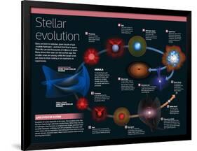 Infographic of Stars: from Birth, Up to the Largest Ones, Near their Cooling as Supernova-null-Framed Poster