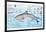 Infographic of the Anatomy, Habitat and Bottlenose Dolphin Breeding-null-Framed Poster