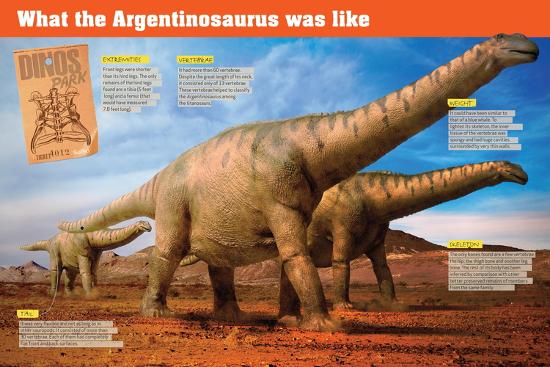 'Infographic of the Argentinosaurus, a Huge Herbivorous Dinosaur from the Cretaceous Period