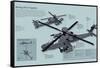 Infographic of the Boeing Ah-64 Apache, the Main Advanced Combat Helicopter of the Us Army-null-Framed Stretched Canvas