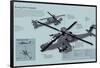 Infographic of the Boeing Ah-64 Apache, the Main Advanced Combat Helicopter of the Us Army-null-Framed Poster