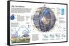 Infographic of the Circulation of the Winds and their Influence in the Climatic System-null-Framed Stretched Canvas