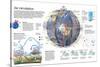 Infographic of the Circulation of the Winds and their Influence in the Climatic System-null-Stretched Canvas