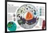 Infographic of the Composition of the Human Cell and the Principal Cell Theories-null-Framed Poster