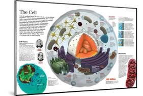 Infographic of the Composition of the Human Cell and the Principal Cell Theories-null-Mounted Poster