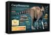 Infographic of the Corythosaurus, an Hadrosaurus That Lived During the Late Cretaceous Period-null-Framed Stretched Canvas