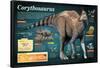 Infographic of the Corythosaurus, an Hadrosaurus That Lived During the Late Cretaceous Period-null-Framed Poster