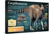 Infographic of the Corythosaurus, an Hadrosaurus That Lived During the Late Cretaceous Period-null-Stretched Canvas