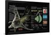 Infographic of the Different Types of Neurons-null-Framed Standard Poster