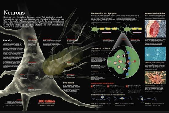 Poster, , large