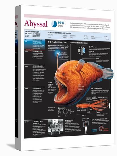 Infographic of the Fauna of the Abyssal Trenches, with a Particular Focus on Flashlight Fish-null-Stretched Canvas