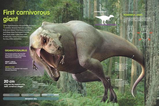 Poster, , large