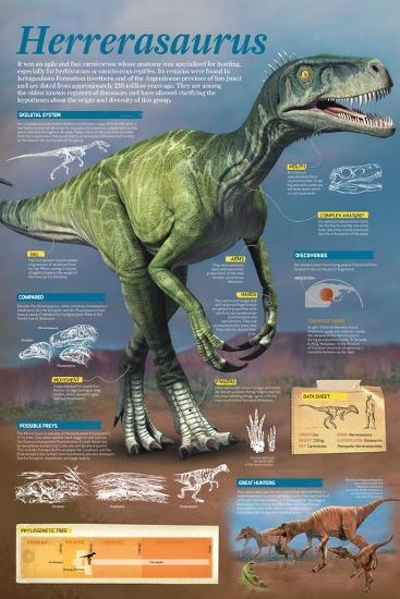 Poster, , large