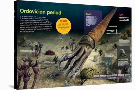 Infographic of the Invertebrates That Lived in the Bottom of the Ocean During the Ordovician Period-null-Stretched Canvas