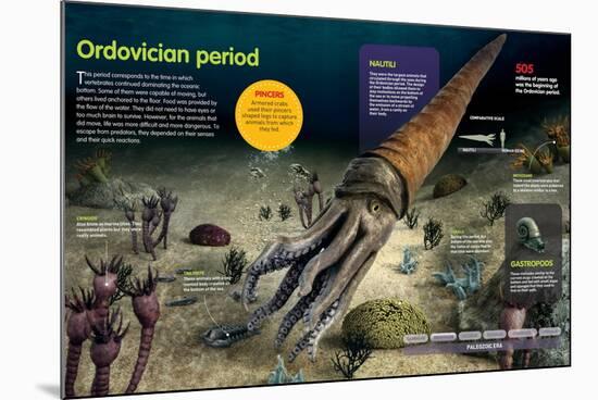 Infographic of the Invertebrates That Lived in the Bottom of the Ocean During the Ordovician Period-null-Mounted Poster