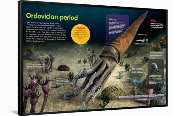 Infographic of the Invertebrates That Lived in the Bottom of the Ocean During the Ordovician Period-null-Framed Poster
