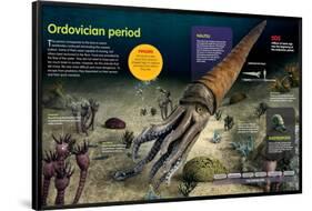 Infographic of the Invertebrates That Lived in the Bottom of the Ocean During the Ordovician Period-null-Framed Poster