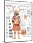 Infographic of the Japanese Samurai, Weapons and Social Structure of Feudal Japan-null-Mounted Poster