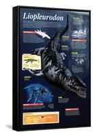 Infographic of the Liopleurodon, One of the Main Marine Predators of the Jurassic-null-Framed Stretched Canvas