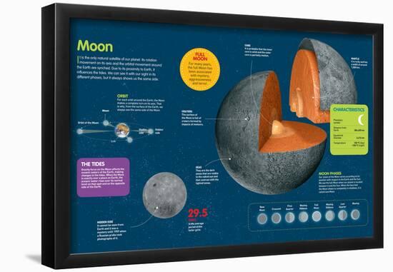 Infographic of the Moon. its Phases, Seas, Faces, Movements, and the Tides-null-Framed Poster