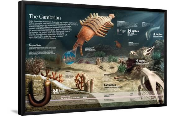 Poster, , large