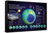 Infographic of the Ozone Hole in the Atmosphere (Causes and Consequences on the Environment)-null-Framed Stretched Canvas