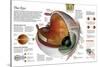 Infographic of the Parts of the Human Eye, their Function and the Most Common Eye Defects-null-Stretched Canvas