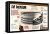 Infographic of the Roman Coliseum-null-Framed Stretched Canvas