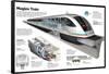 Infographic of the Shanghai Maglev Train, a High-Speed Magnetic Levitation Train-null-Framed Poster