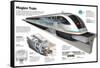 Infographic of the Shanghai Maglev Train, a High-Speed Magnetic Levitation Train-null-Framed Stretched Canvas