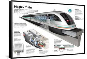 Infographic of the Shanghai Maglev Train, a High-Speed Magnetic Levitation Train-null-Framed Stretched Canvas