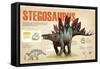 Infographic of the Stegosaurus, a Herbivorius Dinosaur from the Ornithischia Family (Jurassic)-null-Framed Stretched Canvas