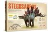 Infographic of the Stegosaurus, a Herbivorius Dinosaur from the Ornithischia Family (Jurassic)-null-Stretched Canvas