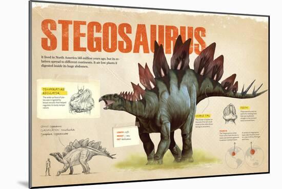 Infographic of the Stegosaurus, a Herbivorius Dinosaur from the Ornithischia Family (Jurassic)-null-Mounted Poster