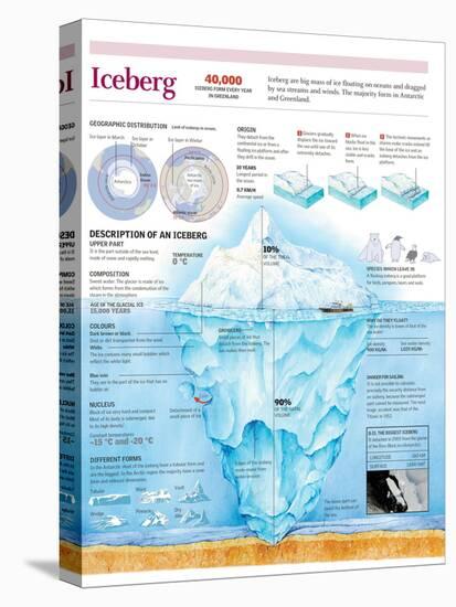 Infographic of the Structure of an Iceberg, its Origin and Geographical Distribution-null-Stretched Canvas