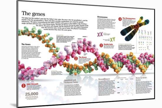 Infographic of the Structure of Dna and the Mechanism of Genetic Inheritance in People-null-Mounted Poster