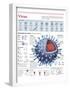 Infographic of the Structure of the Influenza Virus, the Classification and their Replication-null-Framed Poster