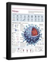 Infographic of the Structure of the Influenza Virus, the Classification and their Replication-null-Framed Poster