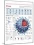 Infographic of the Structure of the Influenza Virus, the Classification and their Replication-null-Mounted Poster