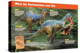 Infographic of the Suchomimus, a Piscivorous Dinosaur That Lived During the Cretaceous Period-null-Stretched Canvas