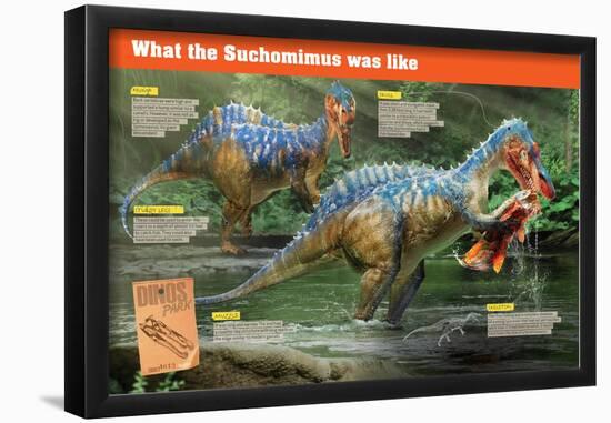 Infographic of the Suchomimus, a Piscivorous Dinosaur That Lived During the Cretaceous Period-null-Framed Poster