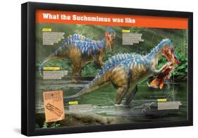 Infographic of the Suchomimus, a Piscivorous Dinosaur That Lived During the Cretaceous Period-null-Framed Poster