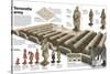 Infographic of the Terracotta Army, a Complex of Soldiers, Chariots and Horses-null-Stretched Canvas