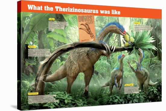 Infographic of the Therizinosaurus, a Herbivorous Sauropod from the Cretaceous Period (Mesozoic)-null-Stretched Canvas