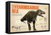 Infographic of the Tyrannosaurus Rex, a Carnivorous Dinosaur from the Cretaceous Period-null-Framed Stretched Canvas