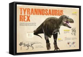 Infographic of the Tyrannosaurus Rex, a Carnivorous Dinosaur from the Cretaceous Period-null-Framed Stretched Canvas