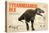 Infographic of the Tyrannosaurus Rex, a Carnivorous Dinosaur from the Cretaceous Period-null-Stretched Canvas