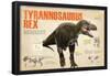 Infographic of the Tyrannosaurus Rex, a Carnivorous Dinosaur from the Cretaceous Period-null-Framed Poster