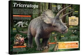 Infographic of Triceratops, an Herbivorous Dinosaur That Lived During the Late Cretaceous Period-null-Stretched Canvas